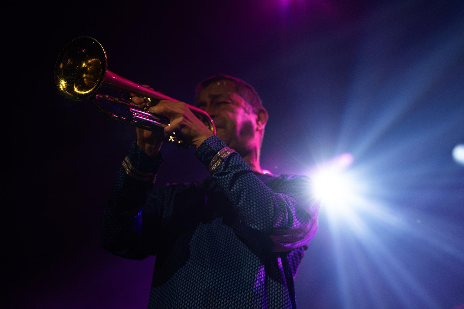 Washington Dead Cats – performance intense